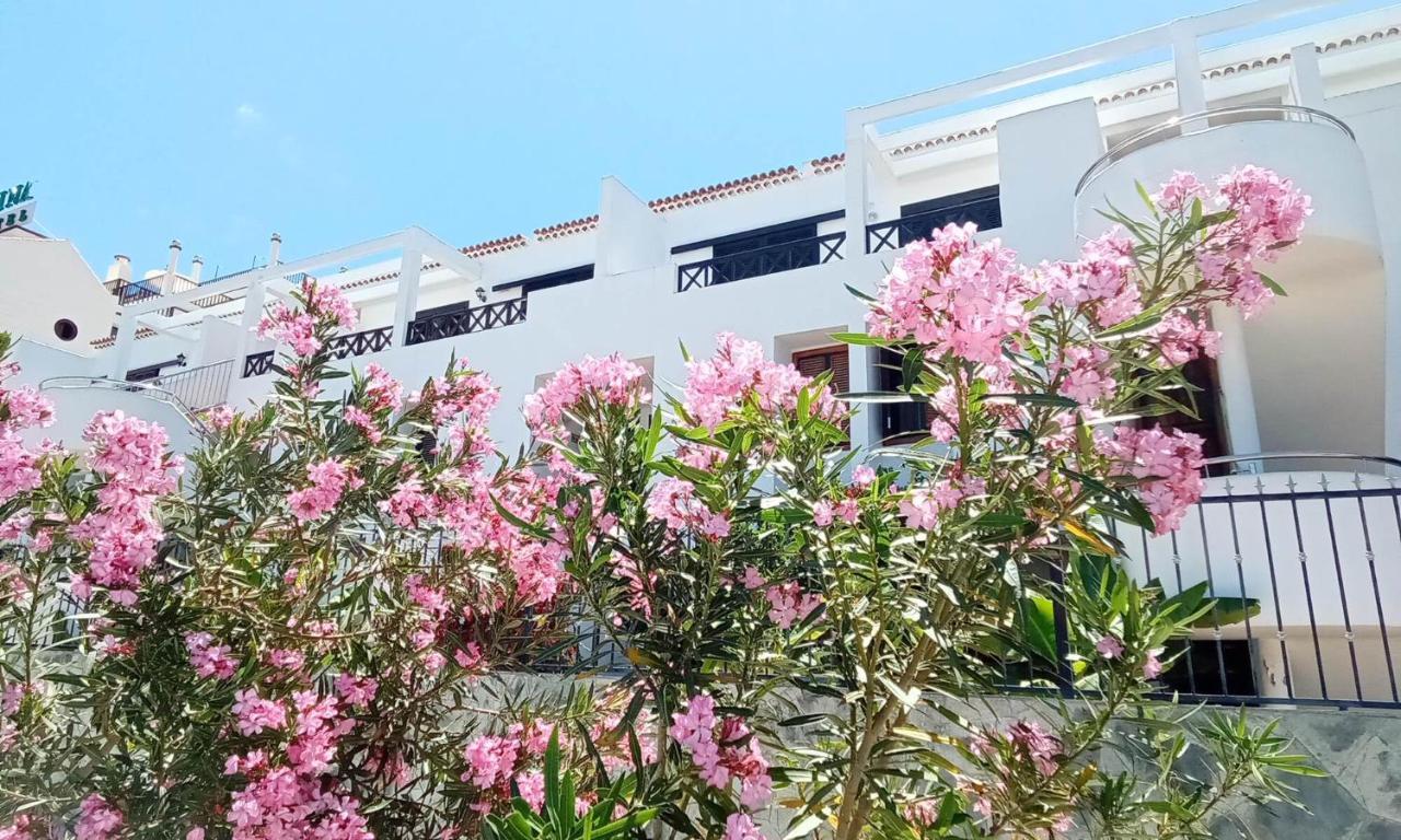 Under The Lime, Beautiful Apartment Los Cristianos Los Cristianos  Extérieur photo
